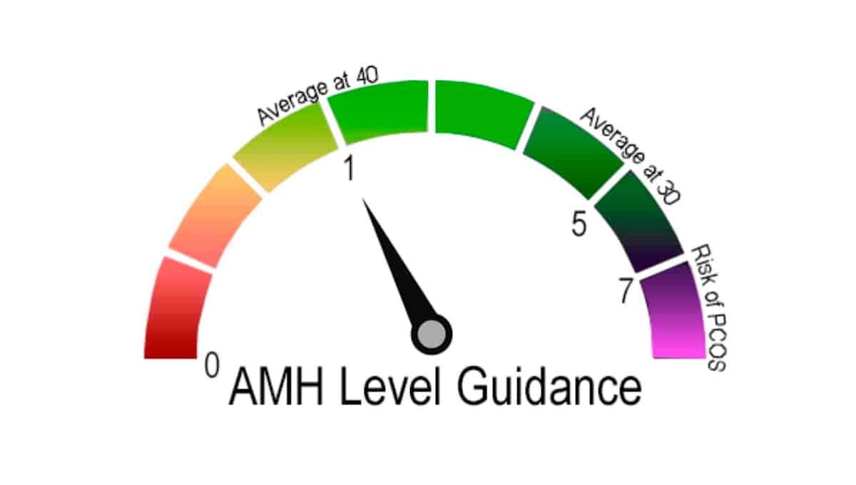 Read more about the article Do I need to worry about my AMH level?