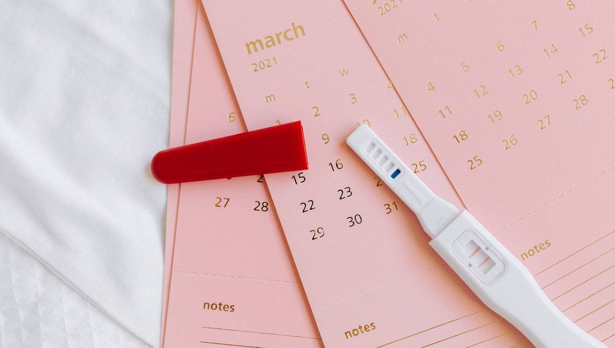 Read more about the article The Best Ovulation Predictor Kits