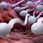 Female body has clever ways of eliminating weak sperm