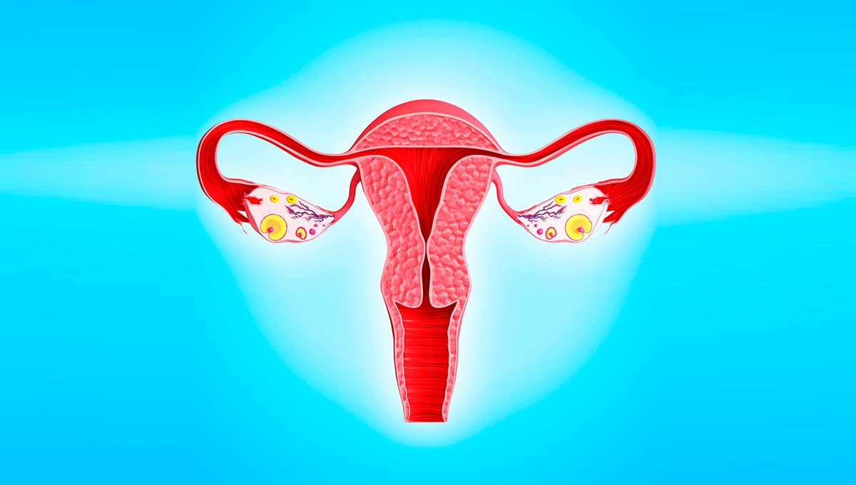 Read more about the article Ovarian Tissue Freezing