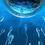 VIDEO – Learn The Process of Conception in 2 Minutes