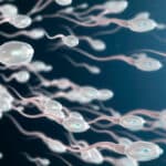 Causes and Treatments For Low Sperm Count