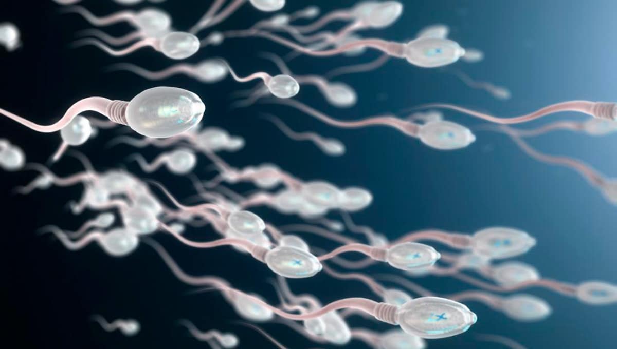 Read more about the article Causes and Treatments For Low Sperm Count